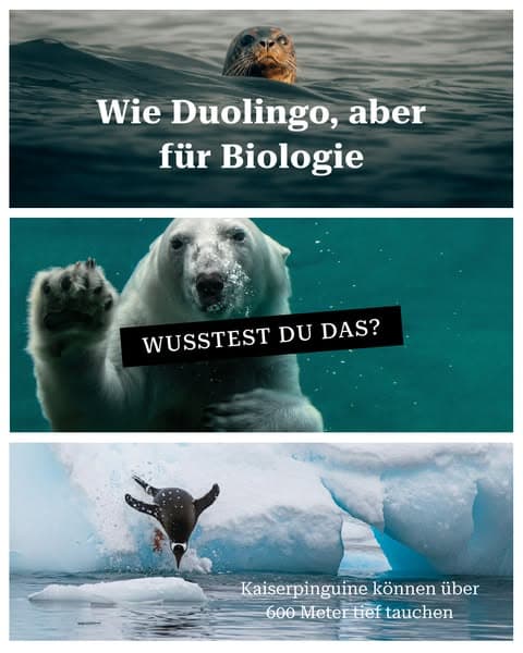 🔬 Biologie – aber in kleinen Häppchen!