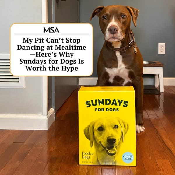 Get 50% Off With Code 50MSA