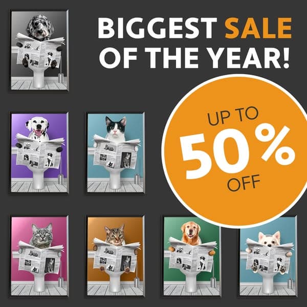 SALE OF THE YEAR 🔥