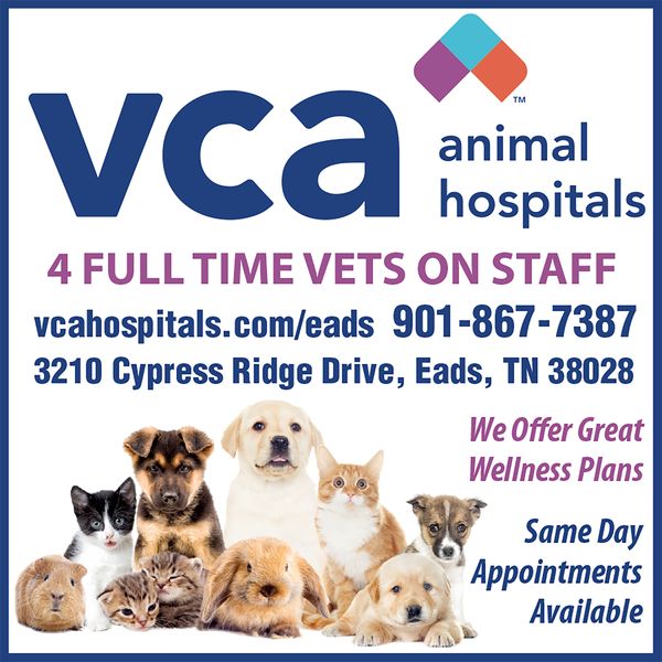 Veterinarians in Eads, TN | VCA Eads Animal Hospital