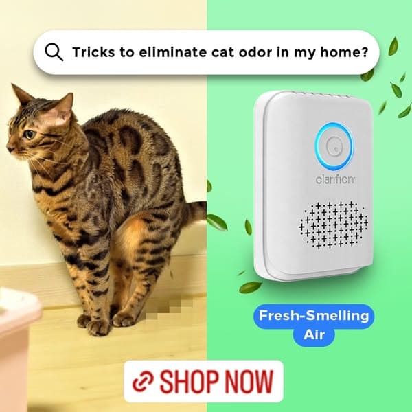 “I am so sick of home smelling like poop!”