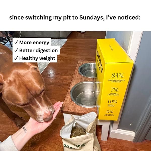 Get 50% Off With Code 50MSA