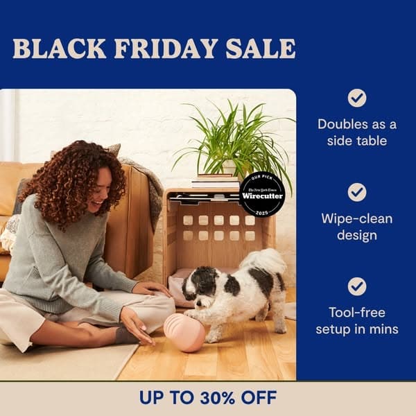 🐶 | Black Friday Sale