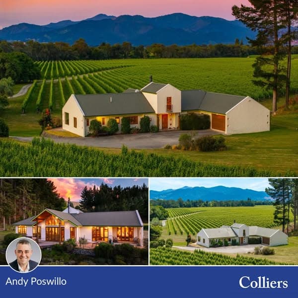 Flagship Marlborough Vineyard Estate