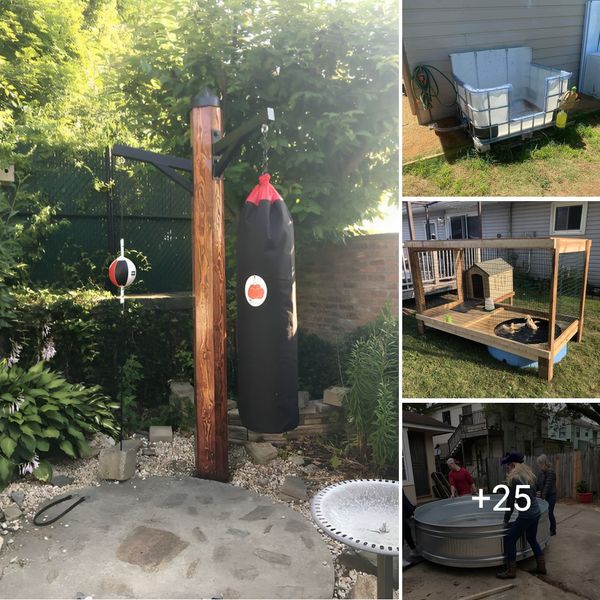 Backyard Bliss on a Budget: 40+ Hilarious DIY Upcycle Ideas to Spruce Up Your Outdoor Oasis!