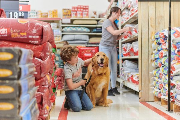 Shop Top Pet Brands at Tractor Supply