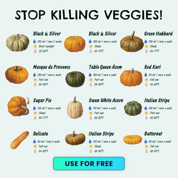 Take a Quiz Now! 🌱