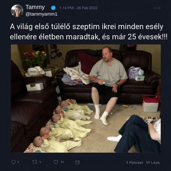 A világon elsőként életben maradt hetesikreinek csodálatos története