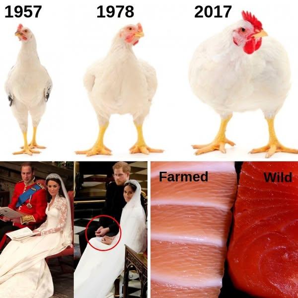 42+ Comparison Photos That Completely Changed How We See Things