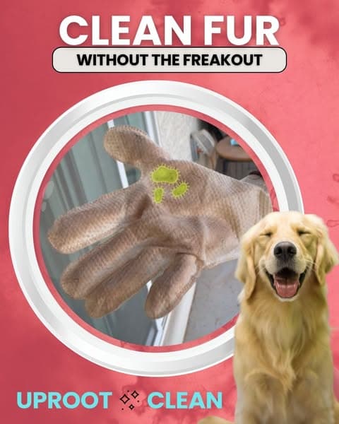 Effortless Grooming & a Shiny Coat with Uproot Grooming Gloves Pro!
