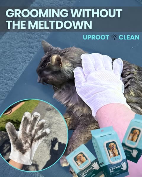 Effortless Grooming & a Shiny Coat with Uproot Grooming Gloves Pro!