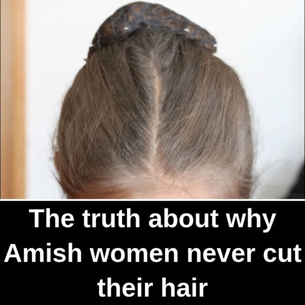 32+ Little-Known Facts About Amish People