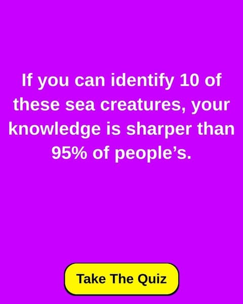 Can You Pass This Sea Animals Quiz? Most Fail Miserably!