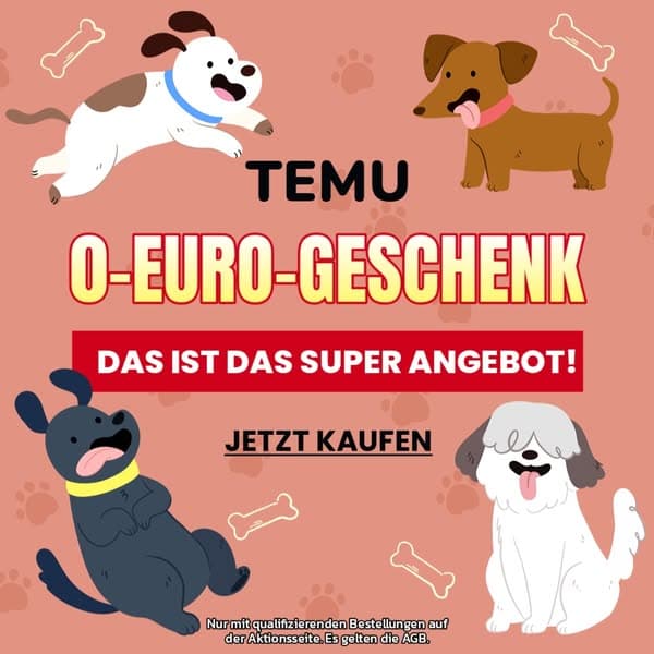 Tolle Angebote bei Temu