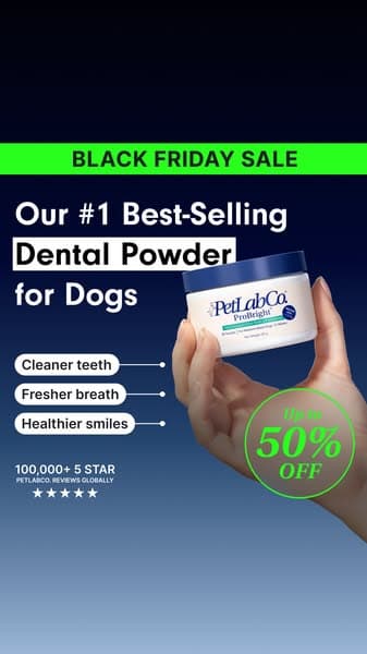 Black Friday SALE | Up To 50% Off ProBright®