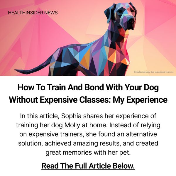 How I Taught My Dog to Behave and Learn a New Trick Every Week While We’re Having a Great Time