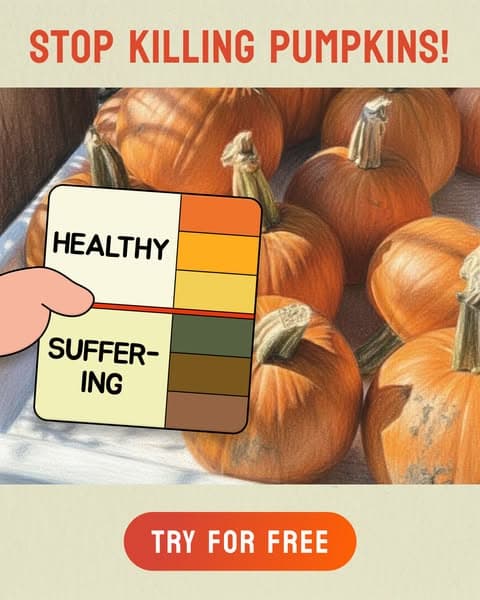 Take a Quiz Now! 🌱