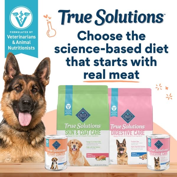 Support Your Dog’s Needs