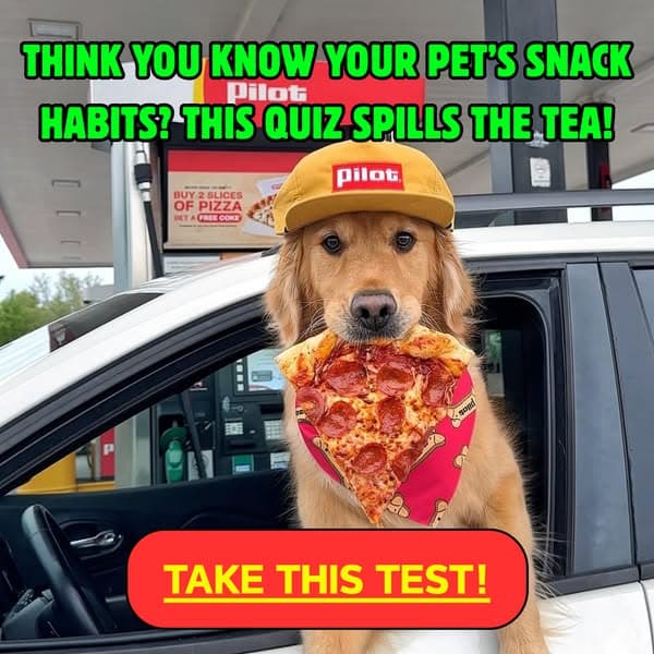Your Pet’s Snack Habits = Their Secret Personality
