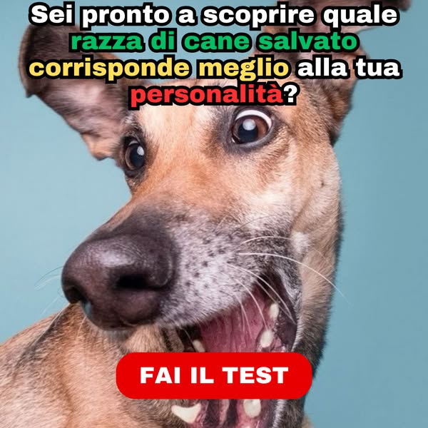 🐾 Quale Razza di Cane Dovresti Adottare?