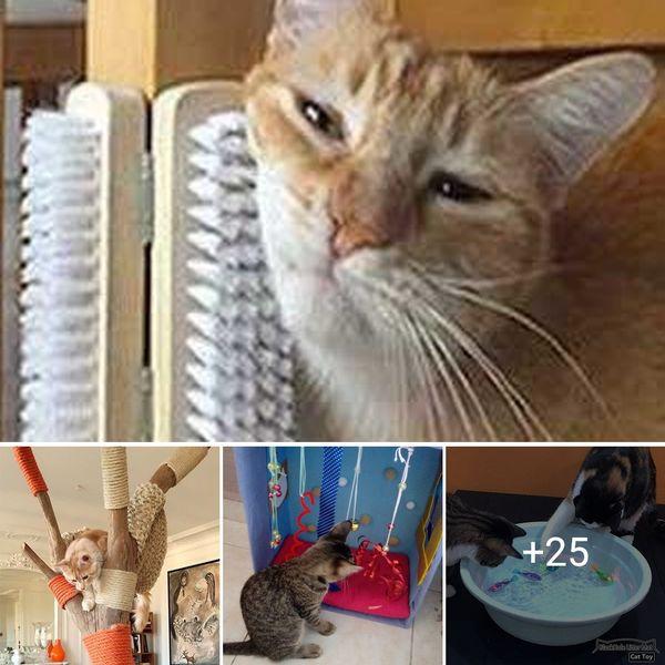 DIY Cat Toys That Will Help Keep Any Cat Happy