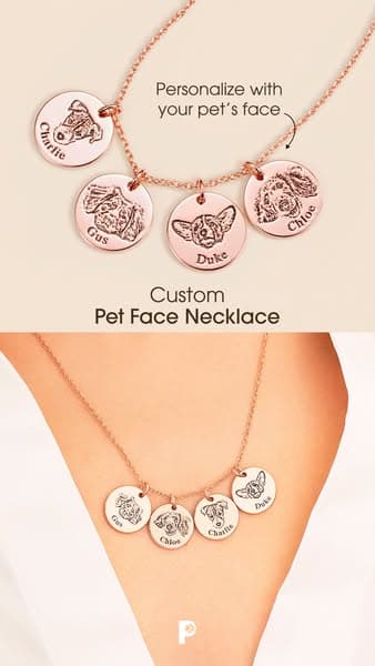 100,000+ Dog Moms Already Have Theirs 💕