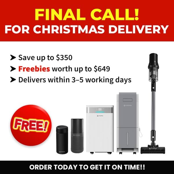 Last Call for Christmas Delivery 🎄🚨