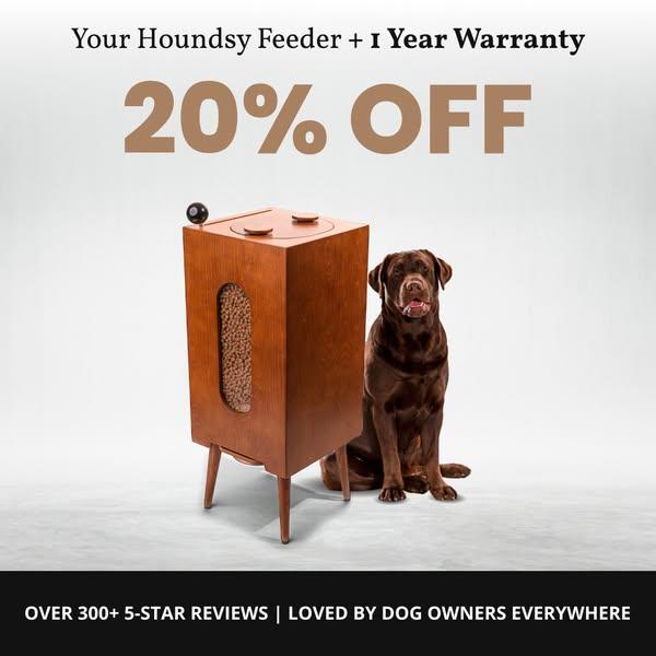 Modern Dog Feeder with 400+ 5-Star Reviews