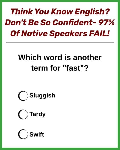 Try The Elementary School Vocab Quiz 🚗