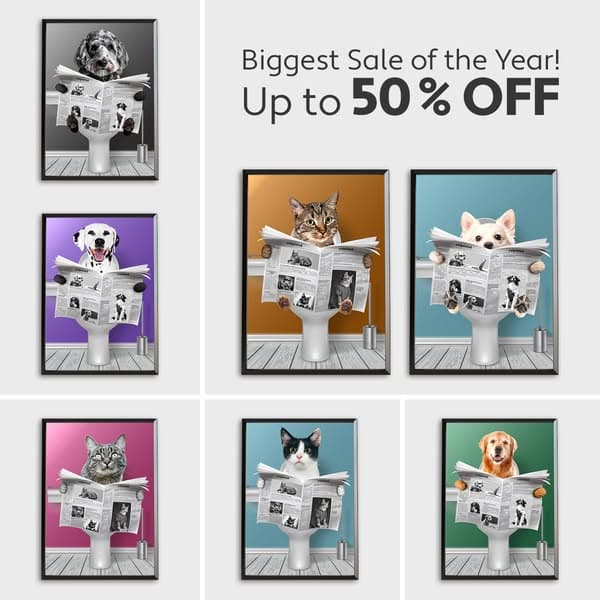 SALE OF THE YEAR 🔥