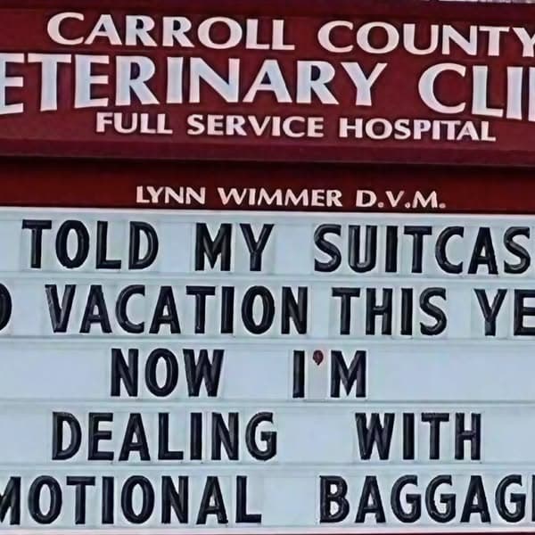 Punny Signs Too Funny Not To Laugh At