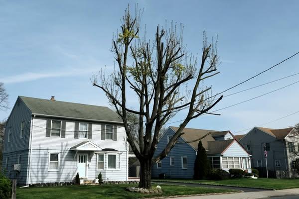 Mortgages: The future of Fannie and Freddie