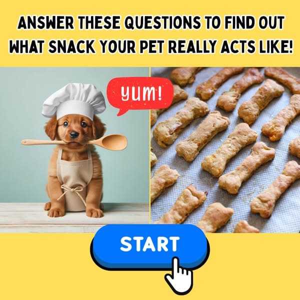 Your Pet’s Snack Habits = Their Secret Personality