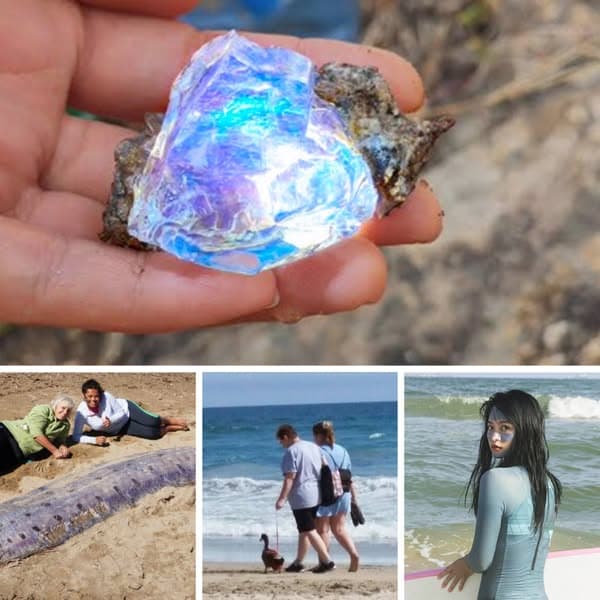 35+ Strange Things People Spotted At The Beach