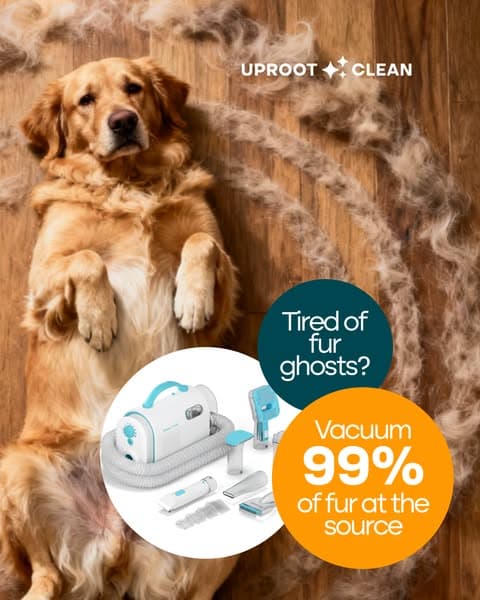 Struggling with Pet hair? Not for long!