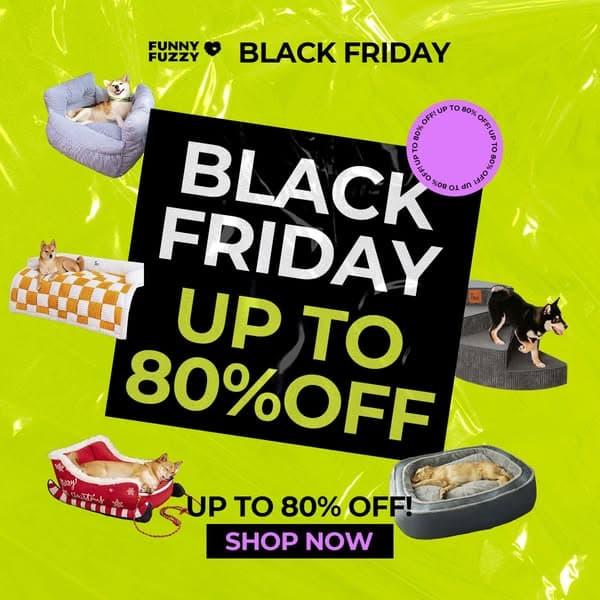 Biggest Sale of the Year: Save on Pet Beds, Sofa Covers & More