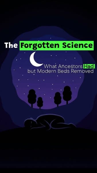 The Sleep Connection We Lost 100 Years Ago