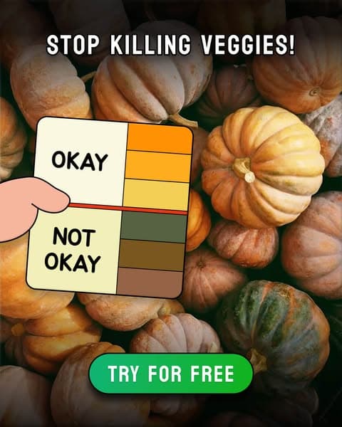 Take a Quiz Now! 🌱