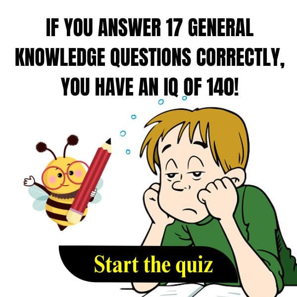 Take The Damn Quiz >>