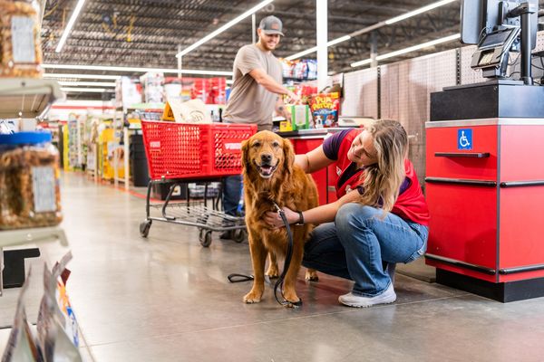 Shop Top Pet Brands at Tractor Supply