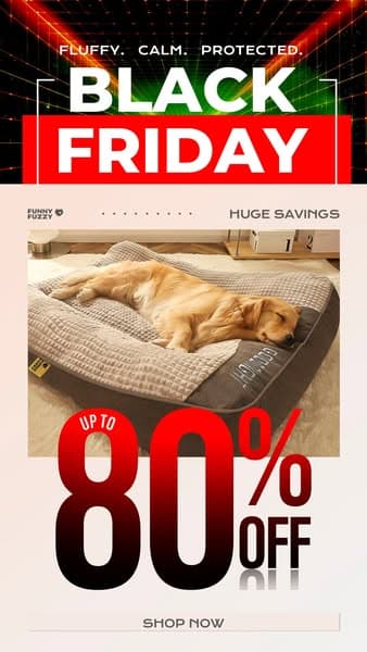🐾 Paw-some Black Friday Deals Are Here!