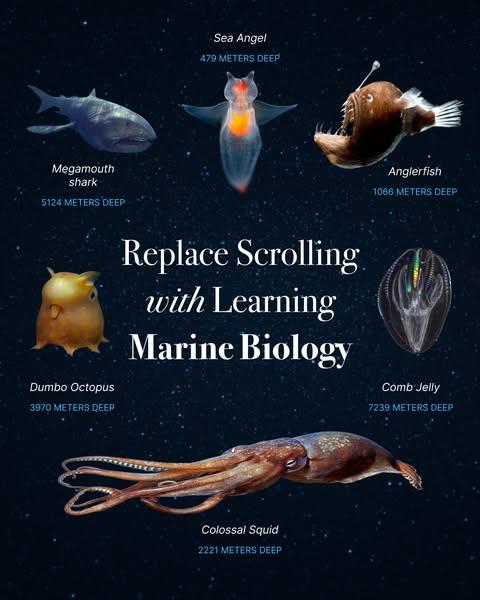 🔬 Biology, but Bite-Sized!