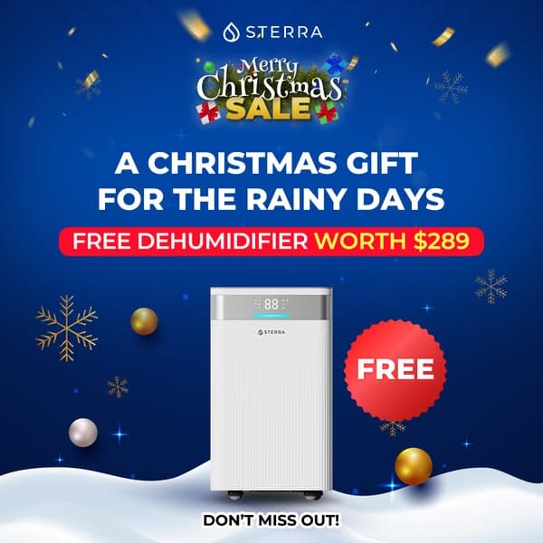 FREE Sterra Ray Dehumidifier