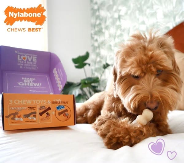 Teach Healthy Chewing Behavior