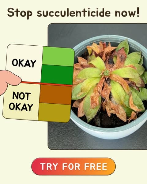 Take a Quiz Now! 🌱