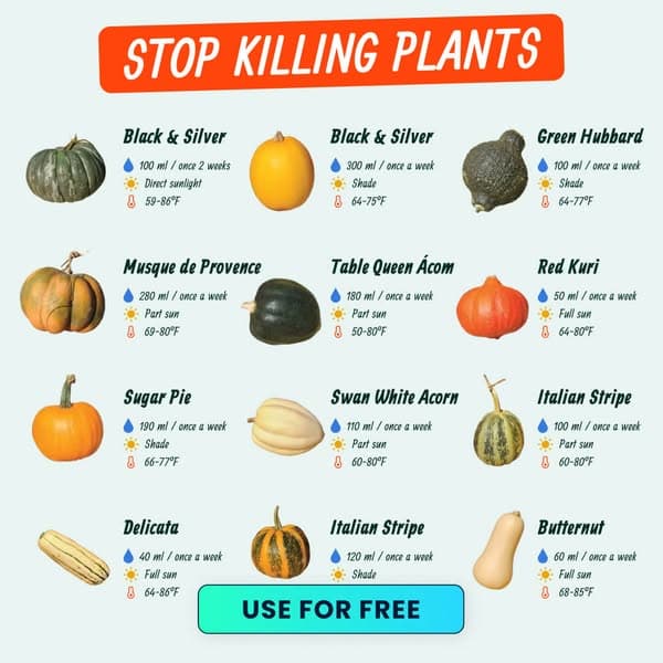 Take a Quiz Now! 🌱