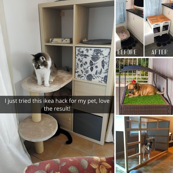 Creative IKEA Upgrades For Your Pets.