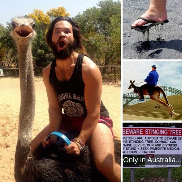 Photos That Prove There's No Place Quite Like Australia