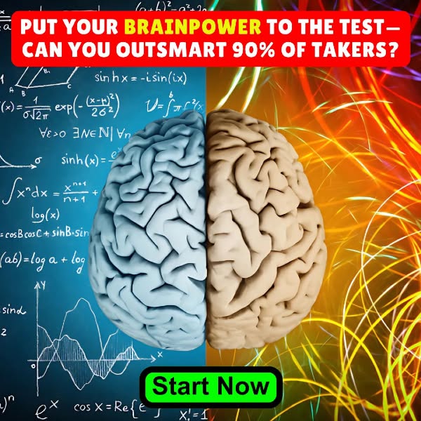 Think You've Got High IQ? Take the IQ Challenge—Only the Sharpest Minds Survive—Tell us what you got! (don't lie) 🤔💥 🧠