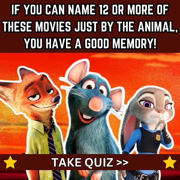 Take The Quiz >>